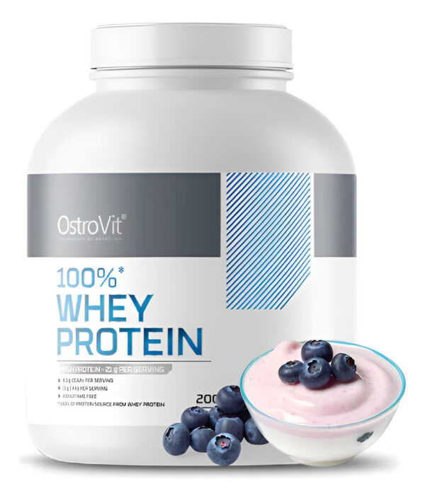 100% Whey Protein 2000g 66 Sv - Ostrovit + Shaker