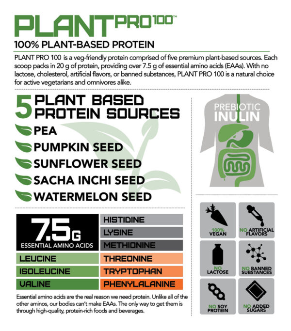 686310-MLC82277219822_022025 Rivalus Plant Protein Polvo Pote 20 G Protein