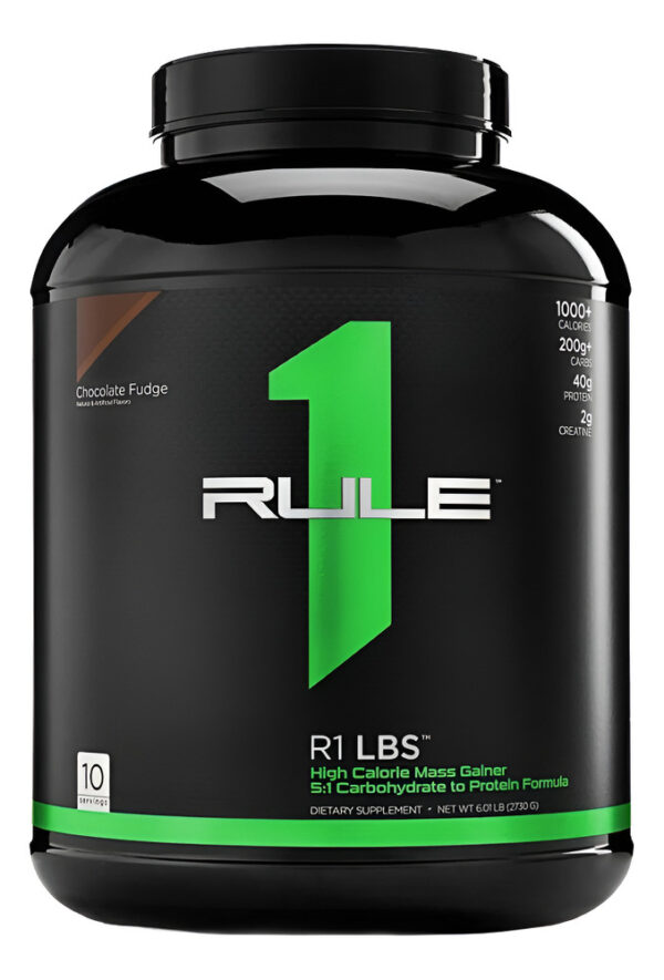 714549-MLC83198457903_032025 Rule 1 Gainer Polvo Ganador De Masa Pote 2730 G