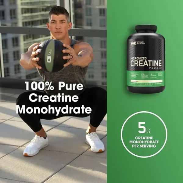 Optimum Nutrition Micronized Creatine Powder 300g / 600g