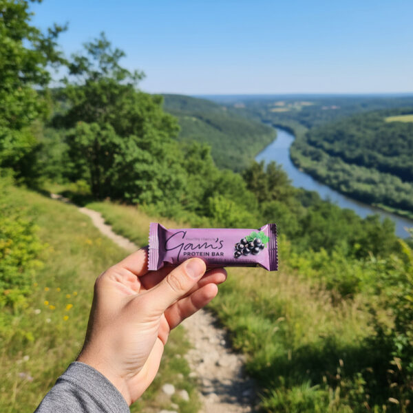 Gams Vegan Protein Bar Blackcurrant 50g ( Unidad)