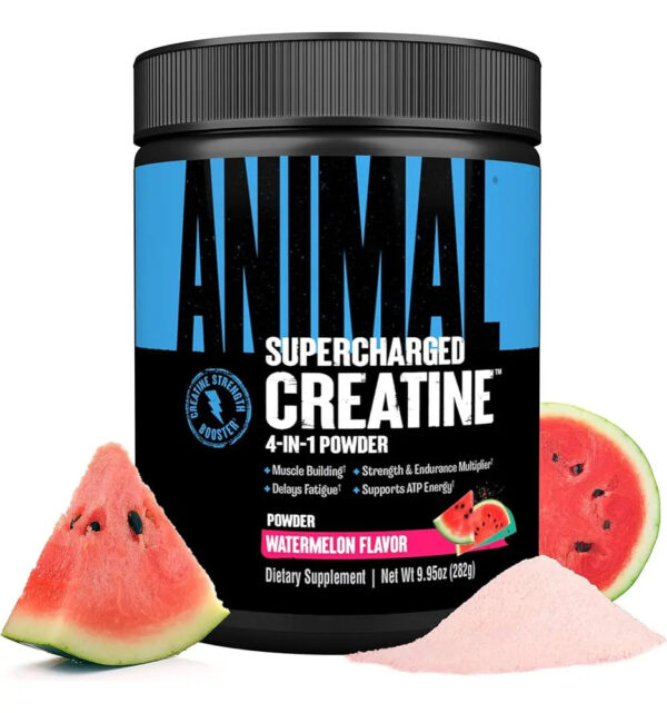 810859-MLC102488532914_122025 Animal Super Charger Creatina 282g Suplemento