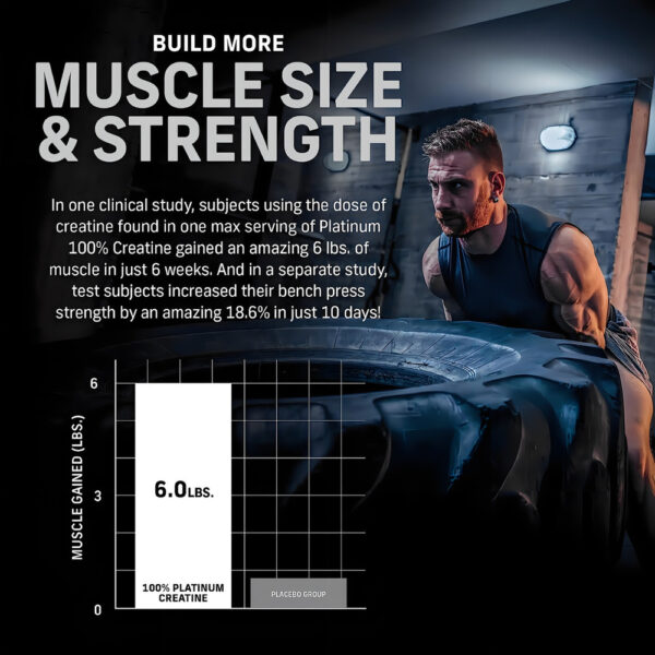 916018-MLA92576071754_092025 MuscleTech Creatine Platinum 400g