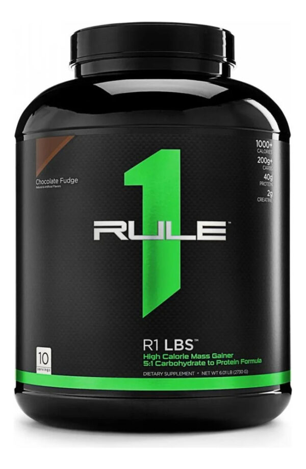 949912-MLC82277021508_022025 Rule 1 Gainer Polvo Ganador De Masa Pote 2730 G