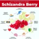 Swanson Schizandra Berries 525mg Suplemento