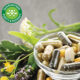 Swanson Super EPA Omega 3 Suplemento