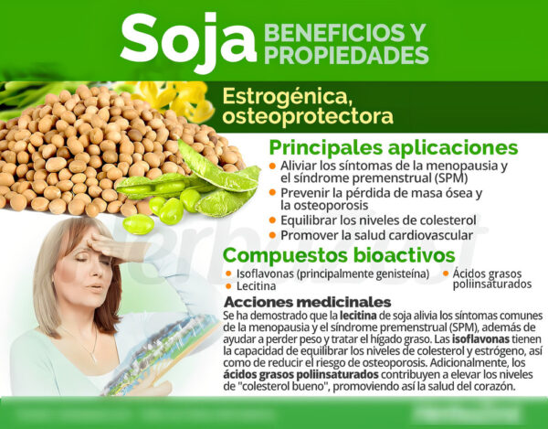 Swanson Lecithin 520mg Suplemento