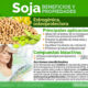 Swanson Lecithin 520mg Suplemento